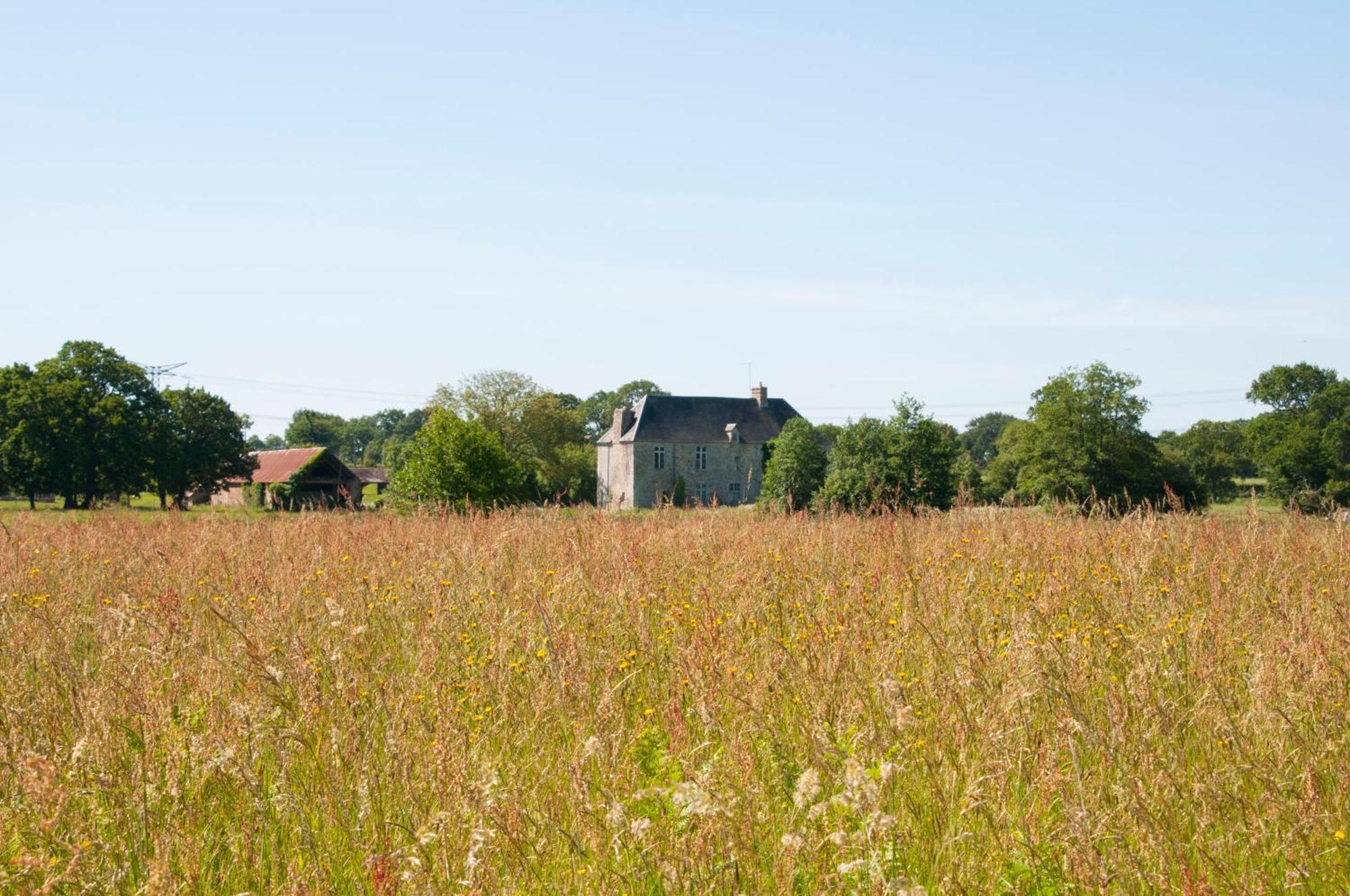 La Maison Des Tilleuls Saint-Germain-Sur-Seves Экстерьер фото
